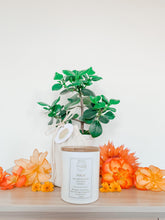Load image into Gallery viewer, Deluxe Aromatherapy Candle | Solis Scent - Sunbeam Naturals