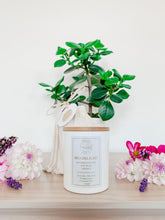 Load image into Gallery viewer, Deluxe Aromatherapy Candle | Moonlight Scent - Sunbeam Naturals