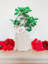 Load image into Gallery viewer, Deluxe Aromatherapy Candle | Luna Scent - Sunbeam Naturals
