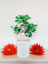 Load image into Gallery viewer, Deluxe Aromatherapy Candle | Hug Scent - Sunbeam Naturals